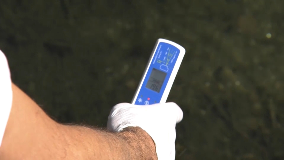 Análisis de la calidad del agua de las piscinas naturales de Extremadura