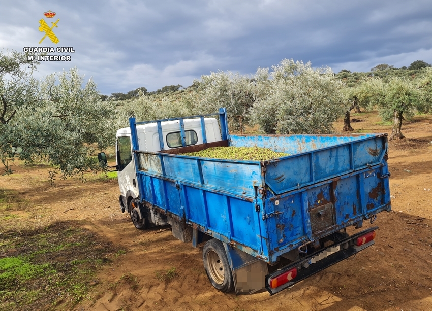 Robo de aceitunas