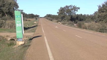 Cuatro fallecidos en carreteras de Extremadura durante las Navidades