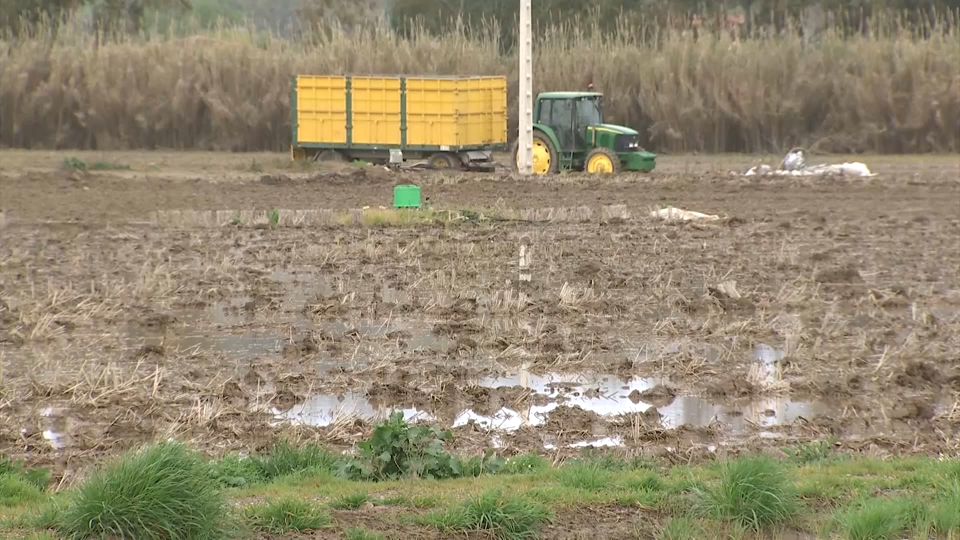 Efectos de las borrascas en el campo
