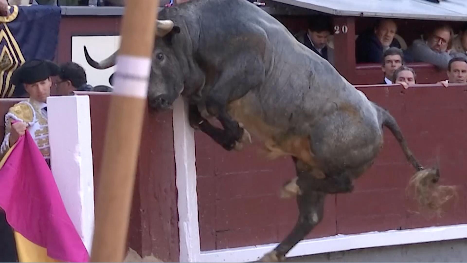 Curiosidades en una tarde de toros en Las Ventas | Canal Extremadura