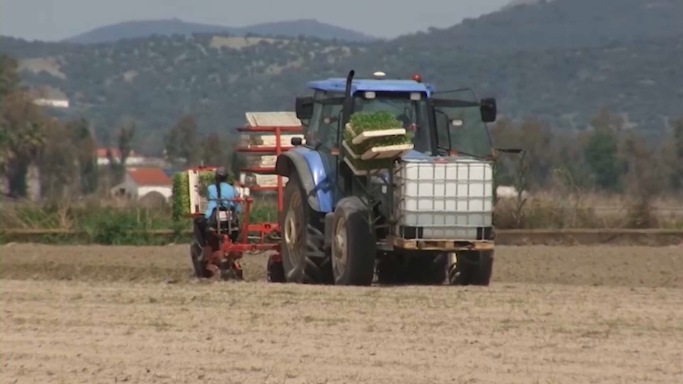 Campaña de riego: El Canal de Orellana afronta un año agrícola con reservas garantizadas