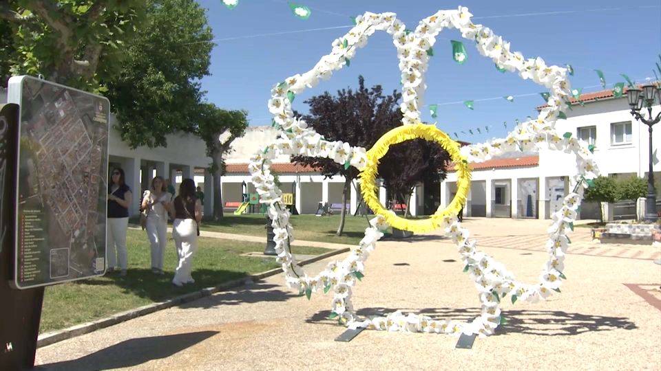 Jara en Flor en Alagón del Río