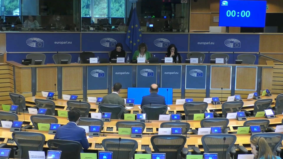 Debate sobre Almaraz en el Parlamento Europeo