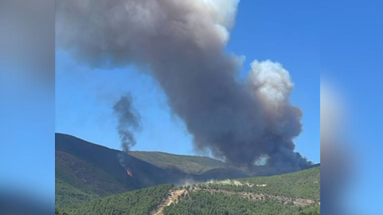 El Plan INFOEX interviene en un incendio forestal en Caminomorisco