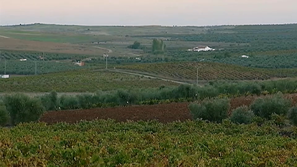 Regantex valora que el nuevo convenio de modernización de regadíos es "paso decidido" a una agricultura "más eficiente"