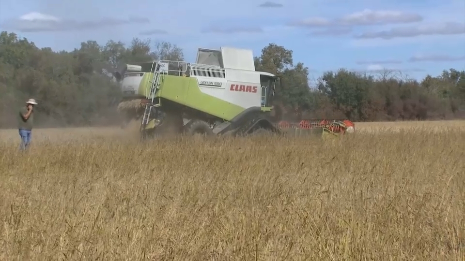 La Junta se adhiere a la reivindicaciones que el sector arrocero extremeño ha trasladado al ministro de Agricult