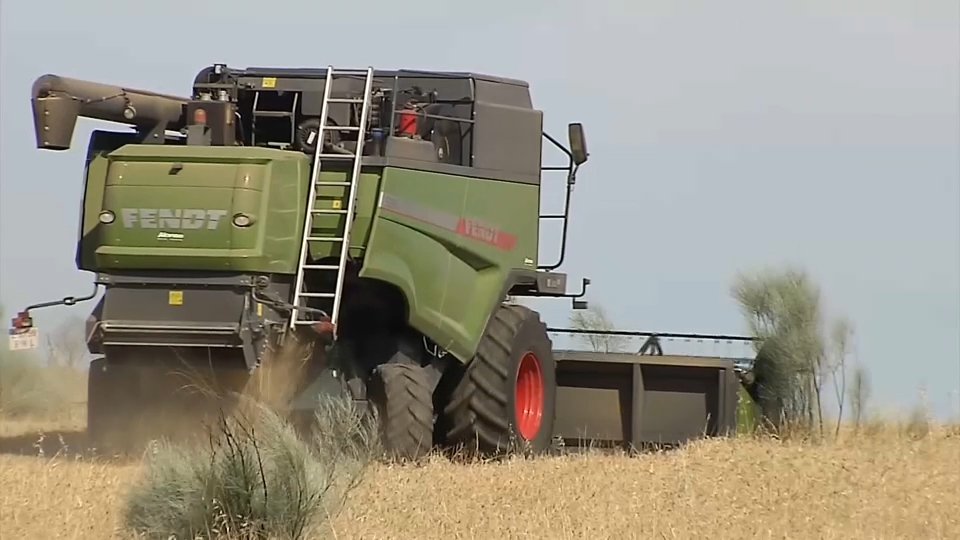 Recogida del cereal en Extremadura