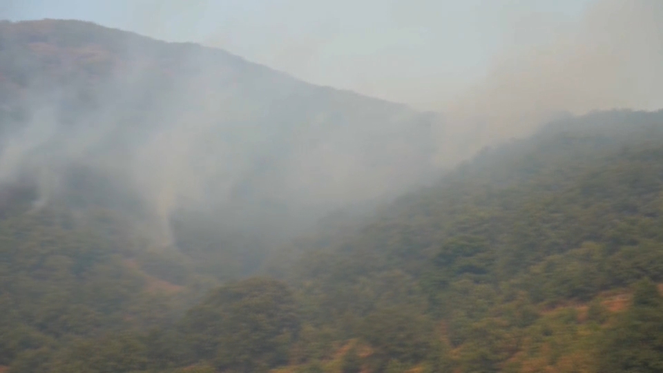 El PSOE pedirá un pleno monográfico en la Asamblea sobre la gestión de la extinción de los incendios en Extremadura