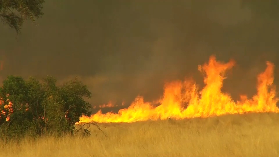 Incendio de pastos - Imagen de archivo