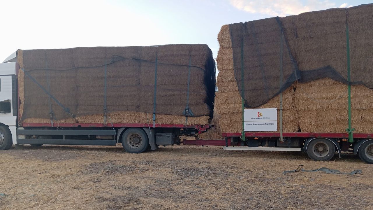 La Diputación de Córdoba realiza un envío solidario de forraje alimenticio a ganaderos afectados por incendio en Cáceres