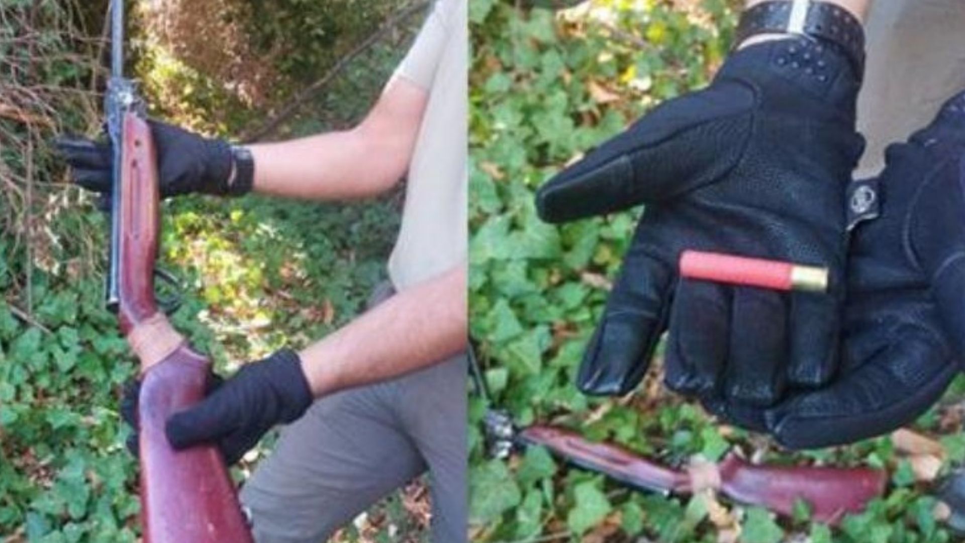 Arma modificada y cartuchos de caza