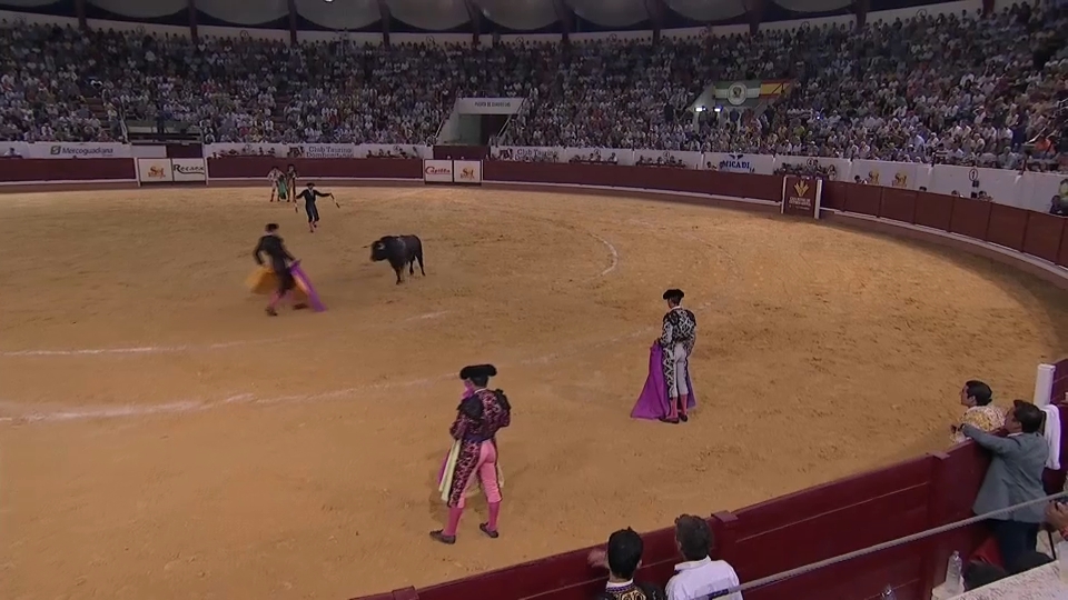 Coso de Las Arenas de Don Benito