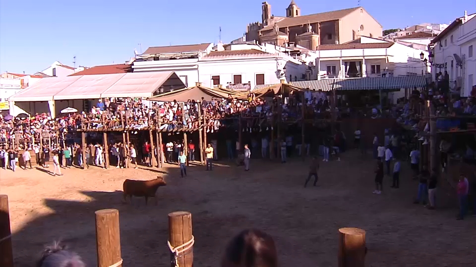 Capeas de Segura de León