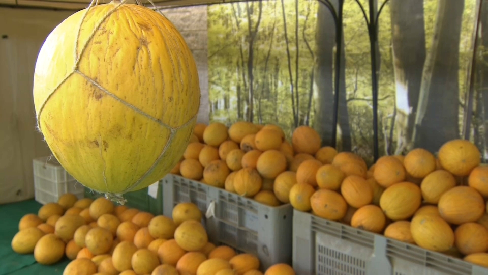 Melones en la Feria del Melón de La Albuera