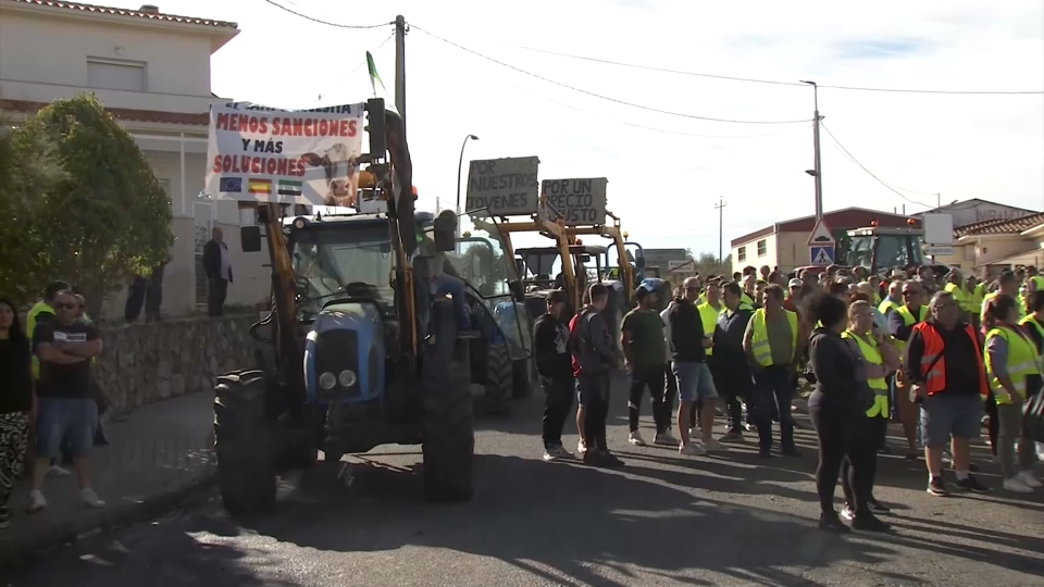 Olivareros del norte de Cáceres