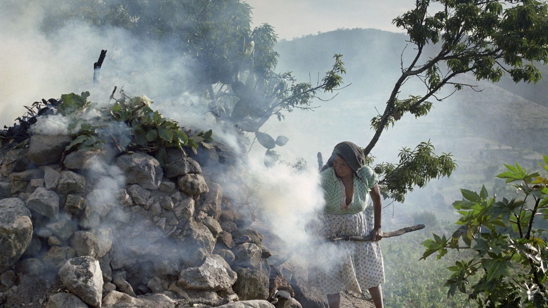 Muestra de la exposición