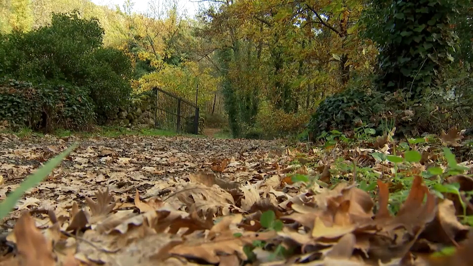 Una de las localidades que van a visitar será Hervás