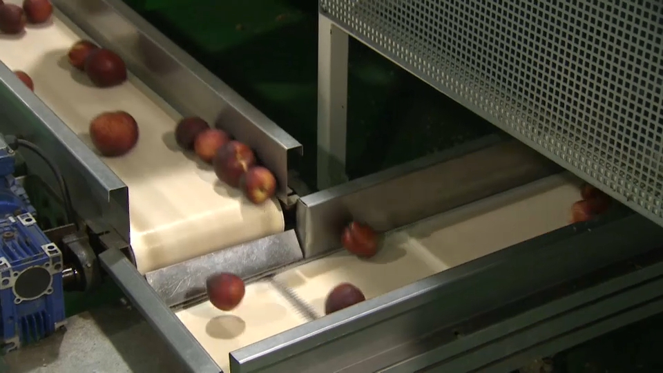 Extremadura apuesta por el comercio exterior