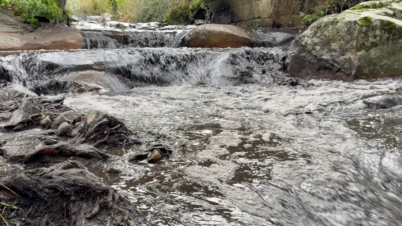 Gargantilla y Villar de Plasencia son dos de los municipios afectados por el incendio de Jarilla, que en agosto devastó más de 16.000 hectáreas