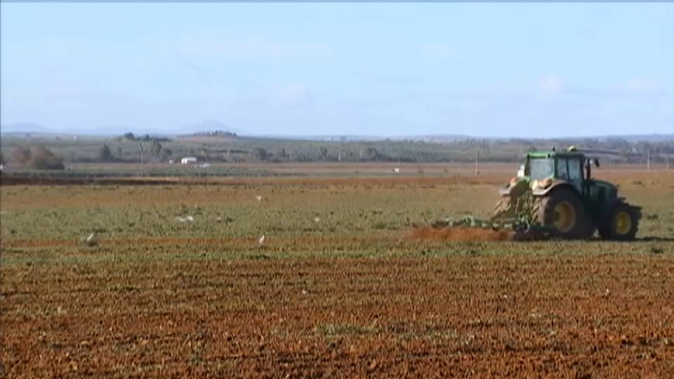 Un tractor trabaja el campo