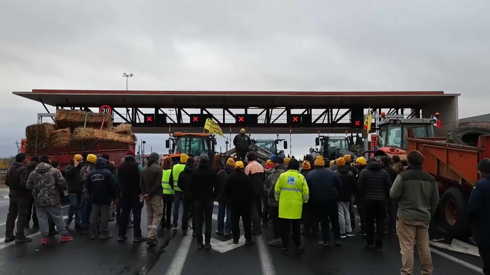 Protestas ganaderas en Francia