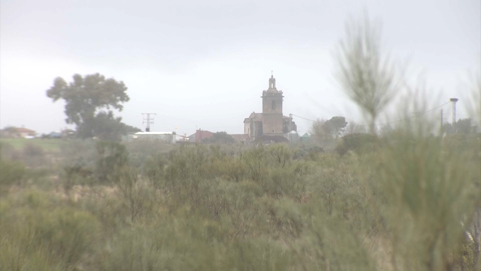 Terrenos en los que se instalará la futuro planta fotovoltaica de Coria y Guijo de Coria