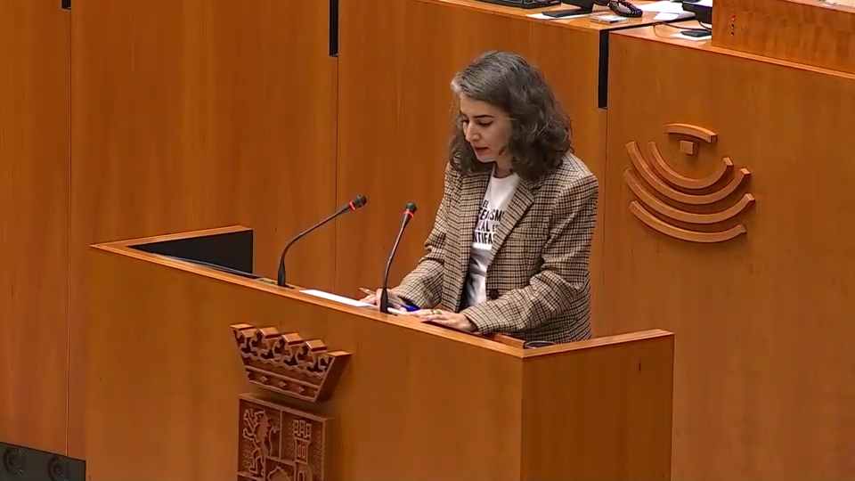 Irene de Miguel, portavoz de Unidas por Extremadura, en la Asamblea de Extremadura