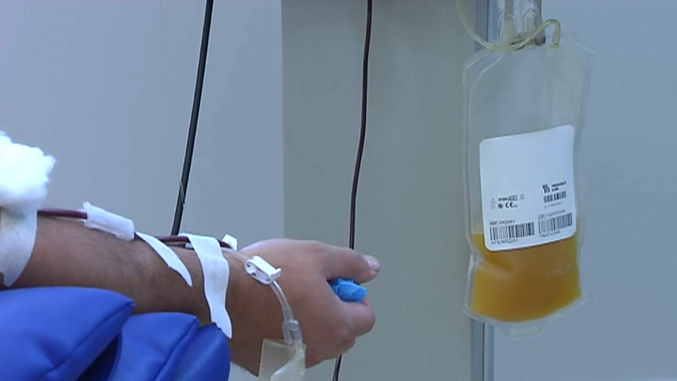 El Banco de Sangre llama a la donación de plasma hiperinmune Canal