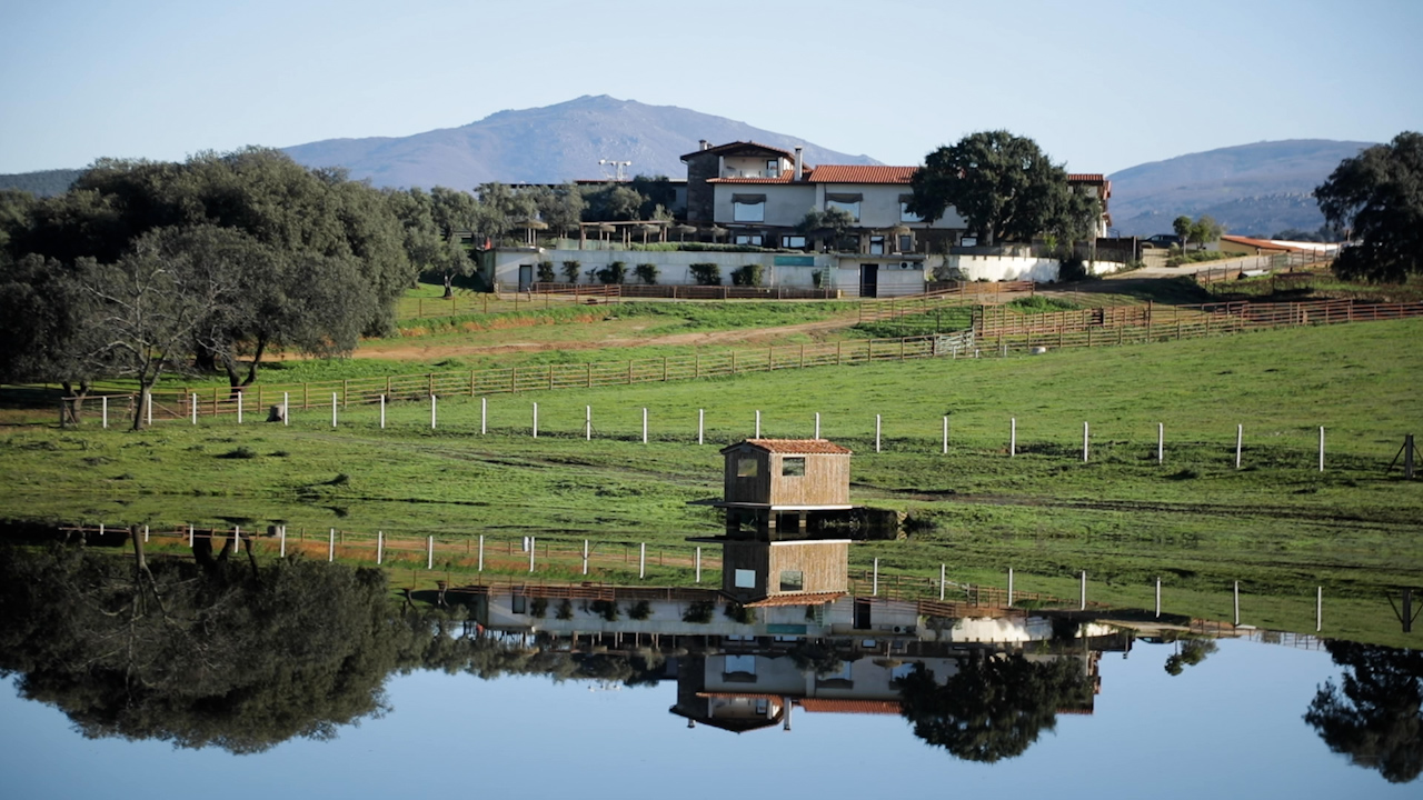 Paisaje de dehesa en la Sierra de Gata
