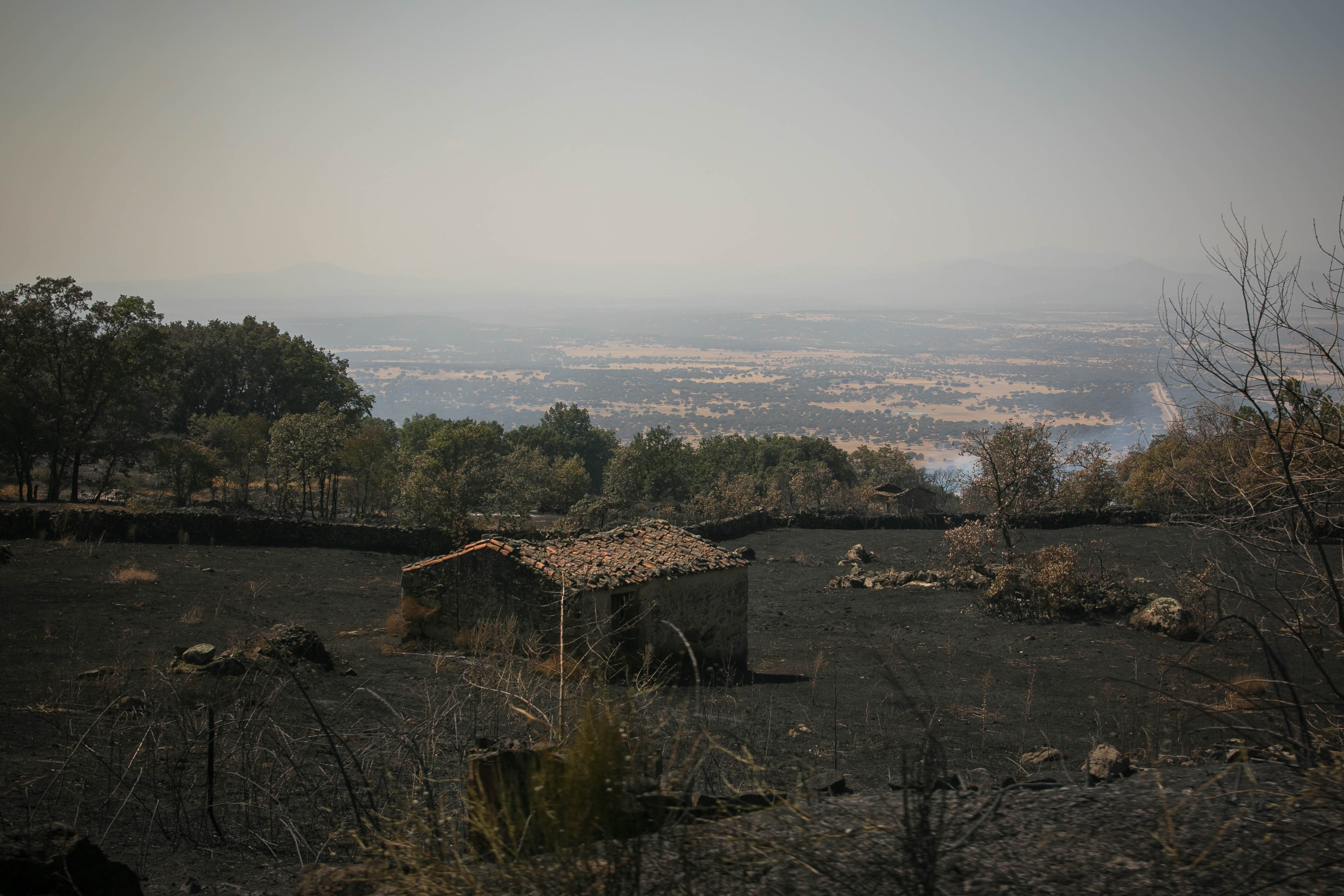 Incendio Jarilla