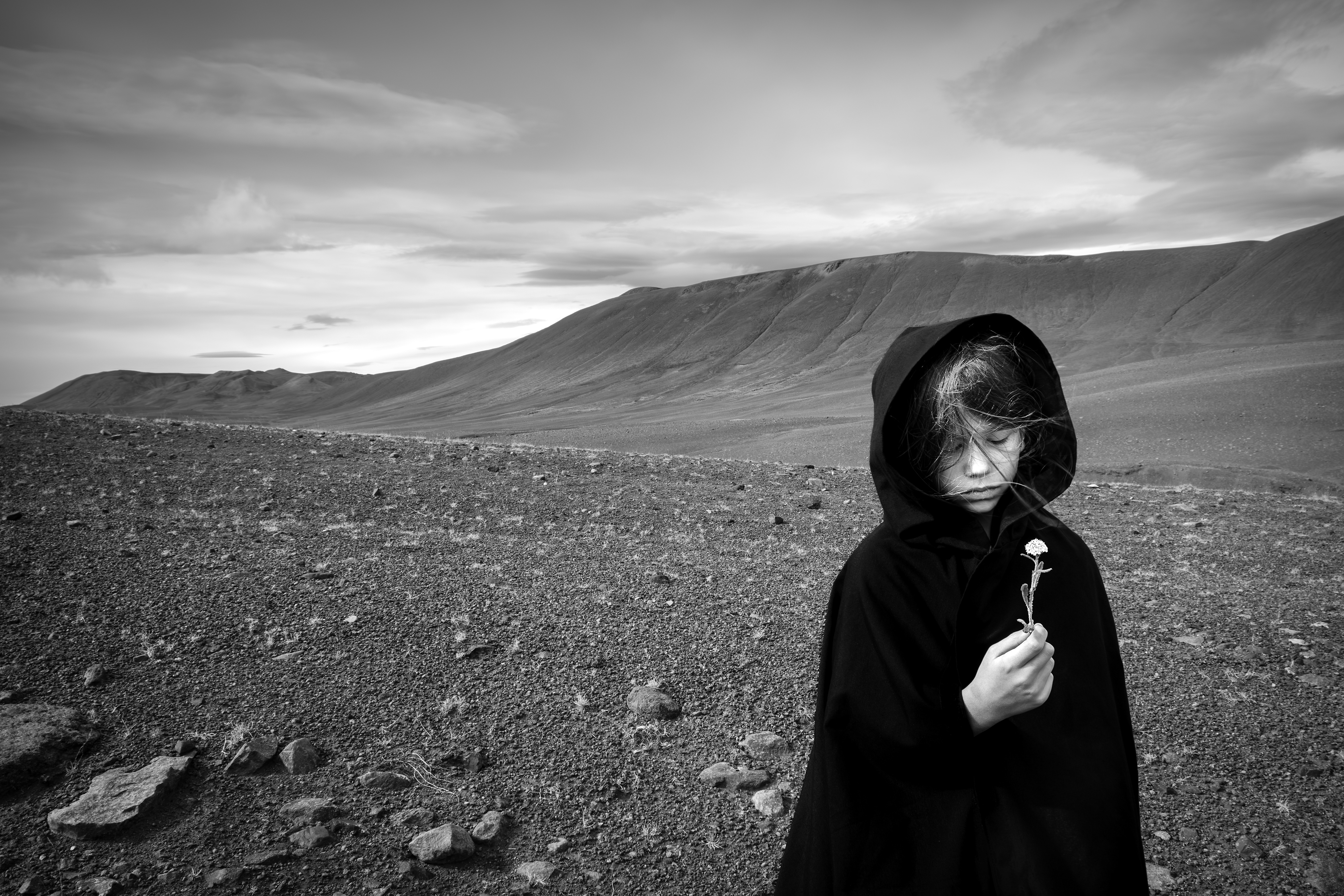 El Libro del Éxodo, de Mario Pereda (Madrid),