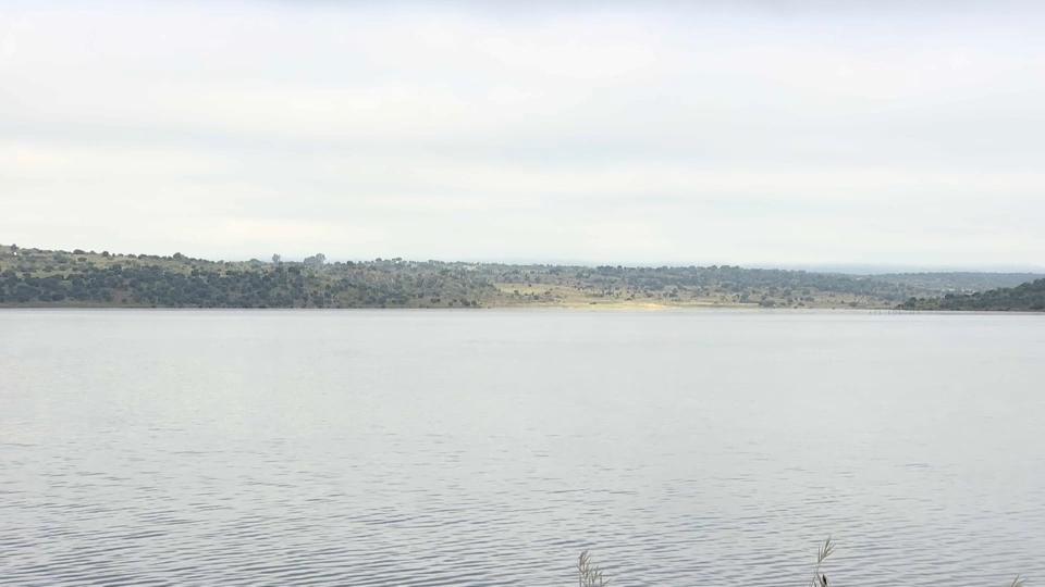 La CHG trata de erradicar la especie invasora Pseudorasbora parva, que representa el 95% de la población del embalse de Alcollarín