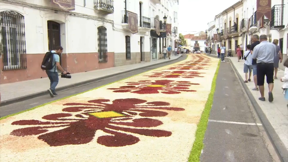 San Vicente de Alcántara supera los 4.000 kilos de viruta de madera para las alfombras de su Corpus Chris