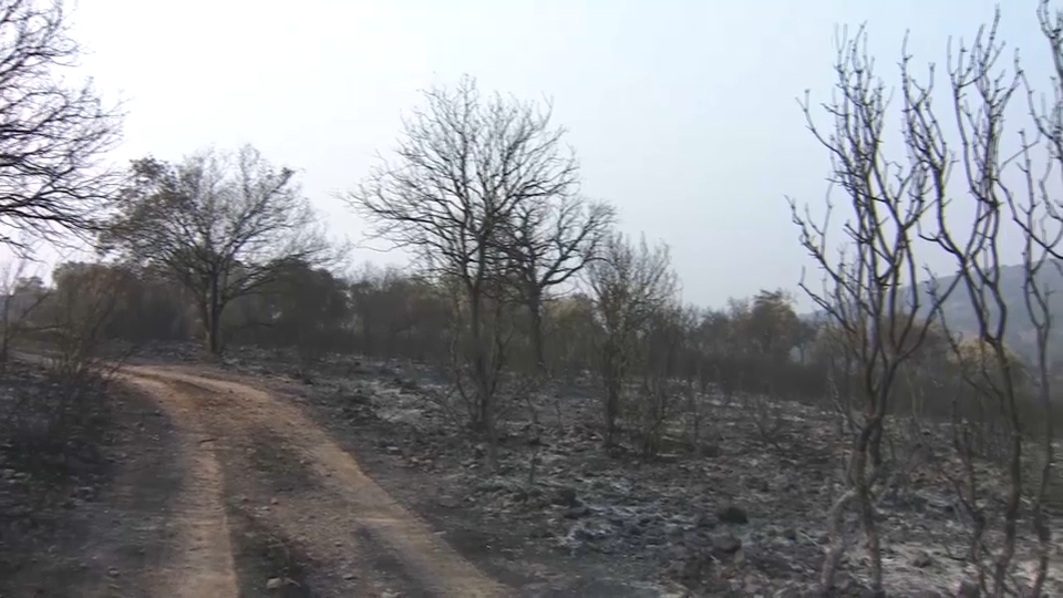 Continúa la investigación para tratar de detener al autor del incendio de Aliseda