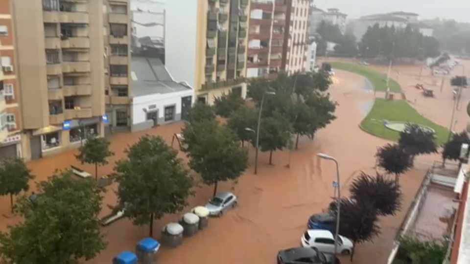 Avenida de la Paz, Almendralejo