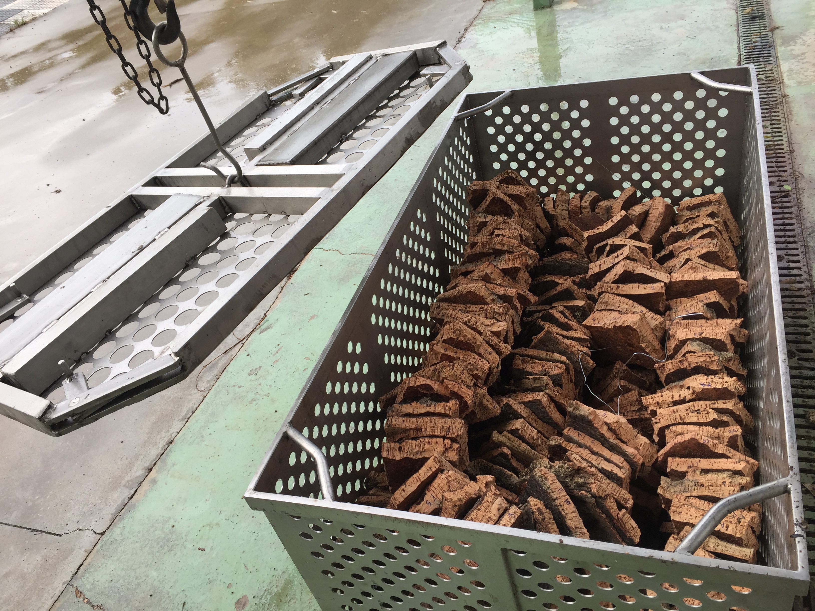 JUNTA DE EXTREMADURA