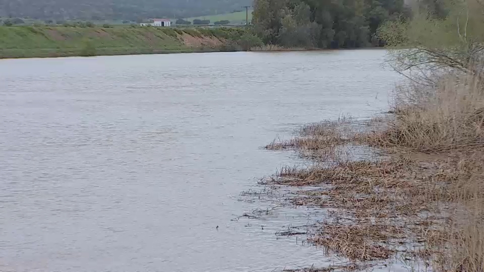 VÍDEO: PENDIENTES DE LA CRECIDA DEL GUADIANA