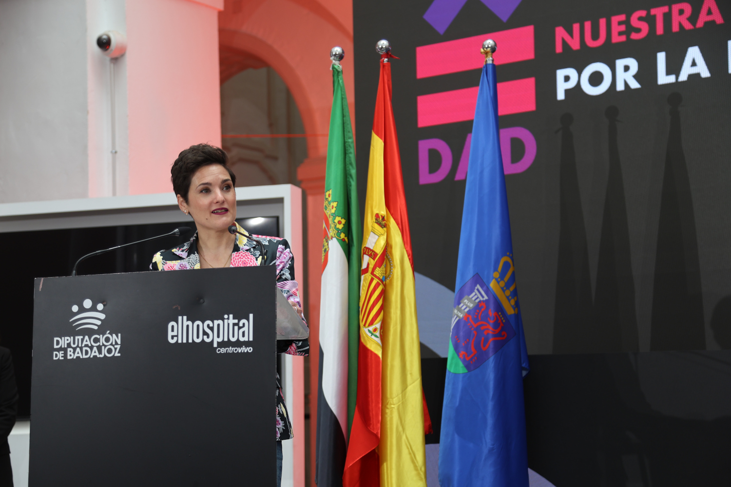 ​  DIPUTACIÓN DE BADAJOZ  ​