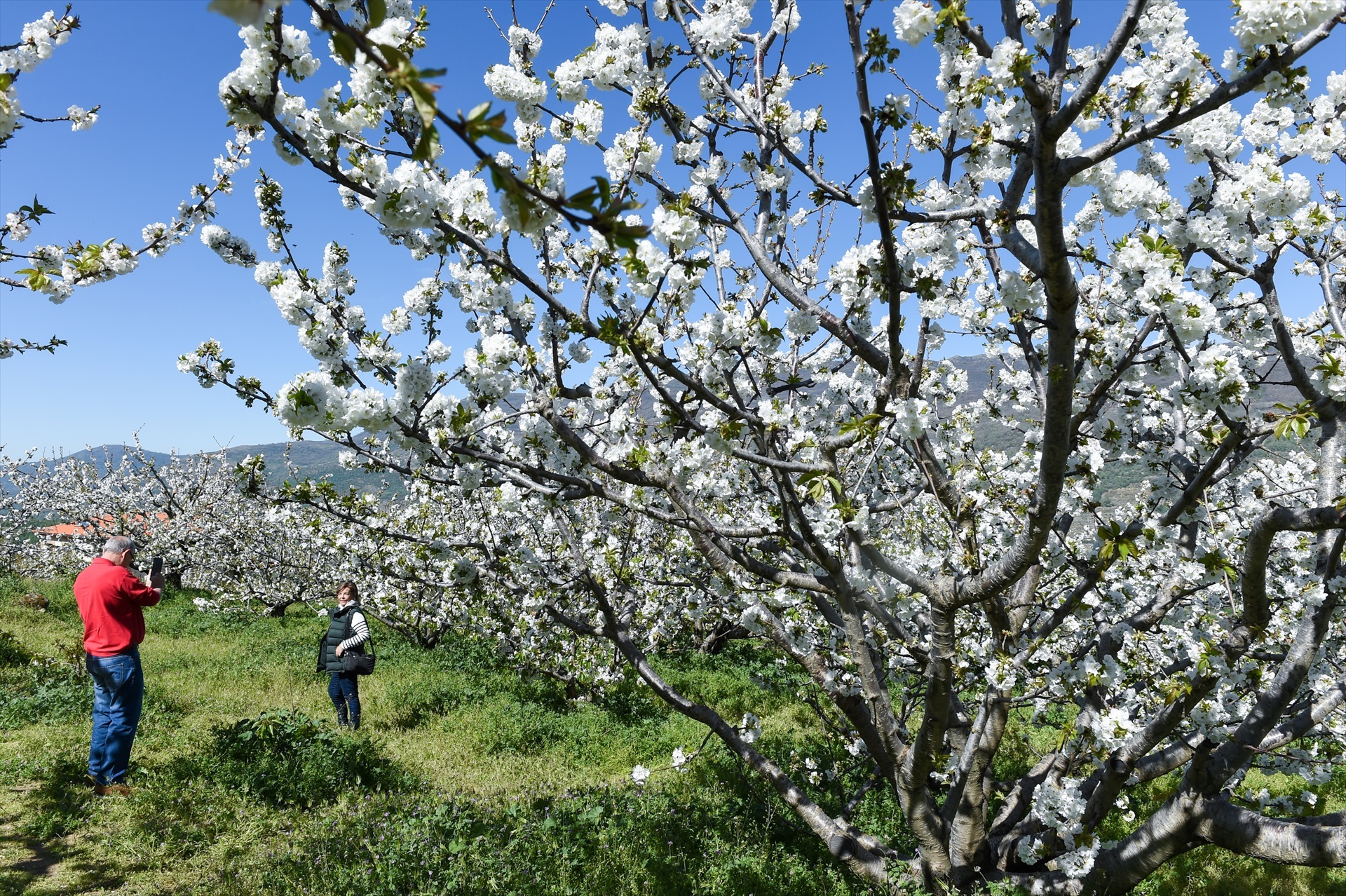 Gustavo Valiente / Europa Press