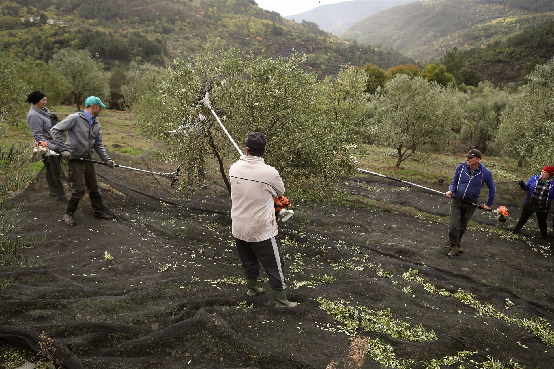 ​​​​Carlos Castro / Europa Press