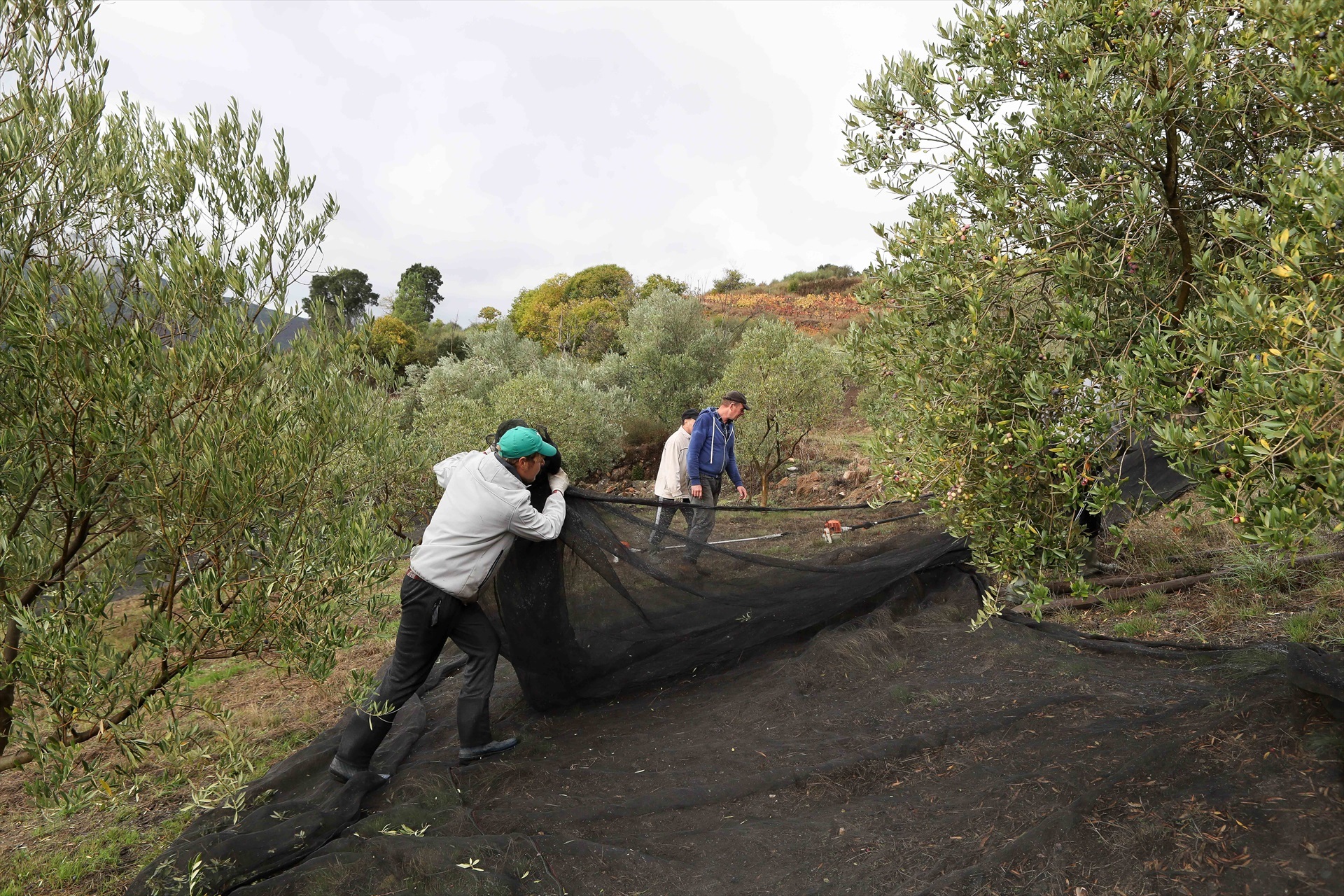 Carlos Castro / Europa Press