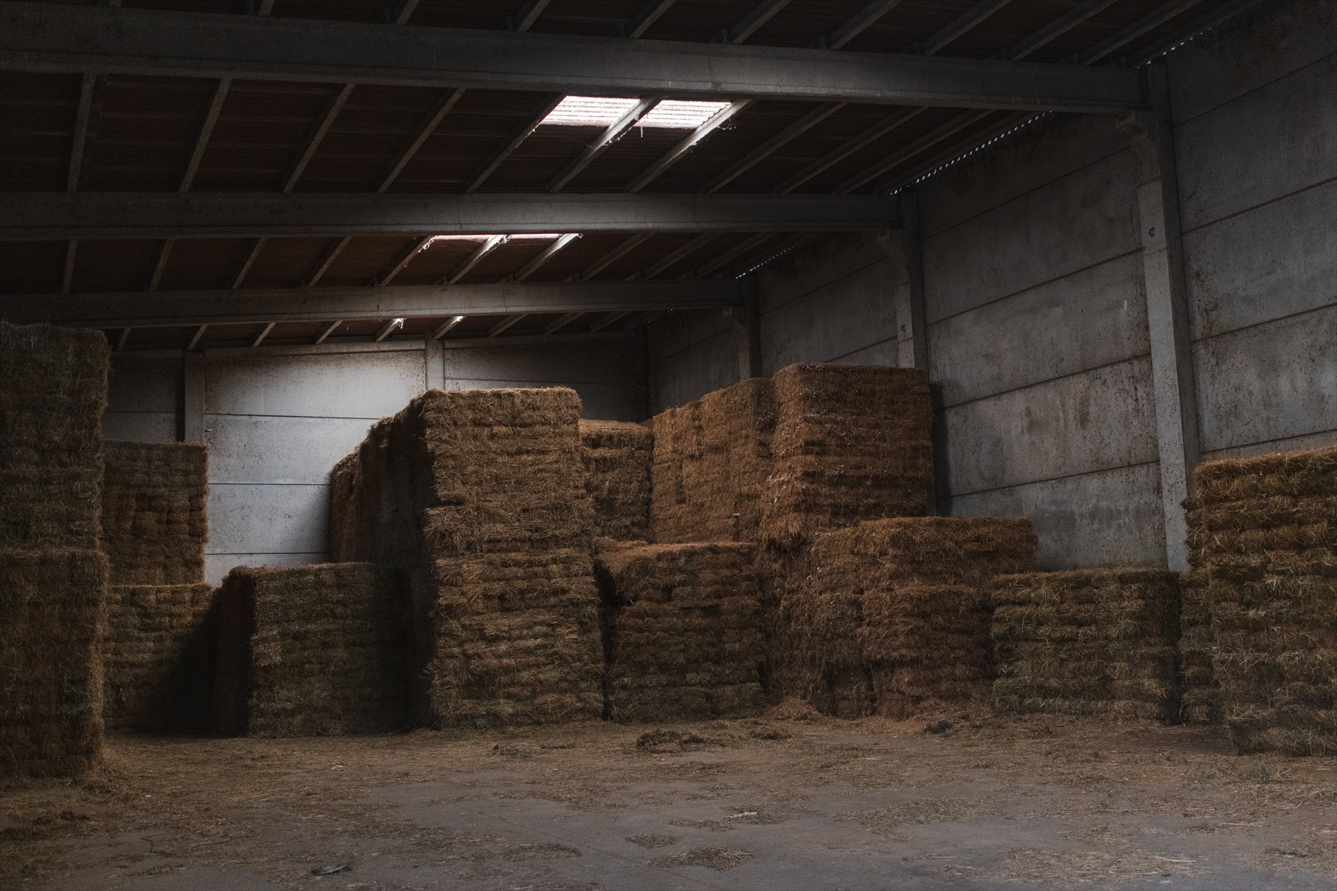 Lorena Sopêna / Europa Press