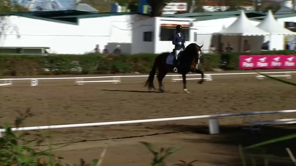 Feria de Zafra