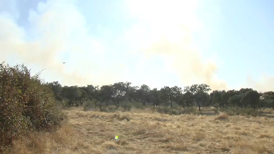 El incendio forestal en Arroyomolinos obliga a evacuar ganado de varias fincas