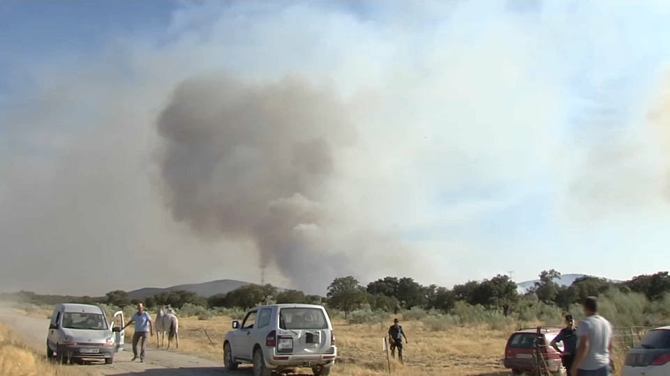 El incendio forestal en Arroyomolinos obliga a evacuar ganado de varias fincas