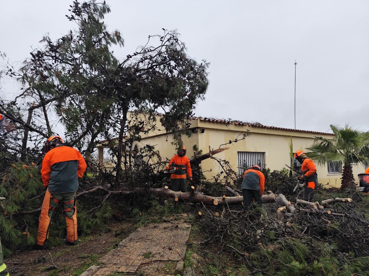 JUNTA DE EXTREMADURA