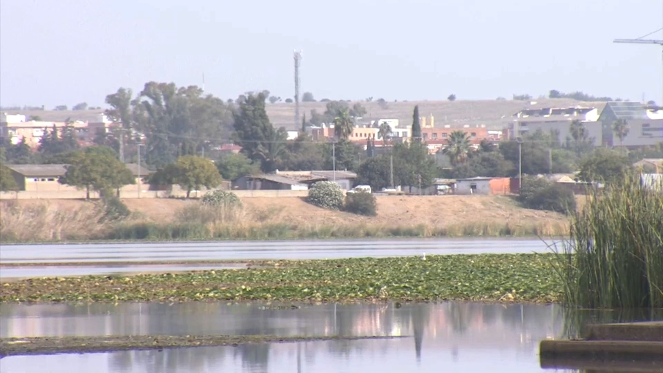 Protocolo de Colaboración entre Administraciones para luchar contra el nenúfar mejicano en Badajoz