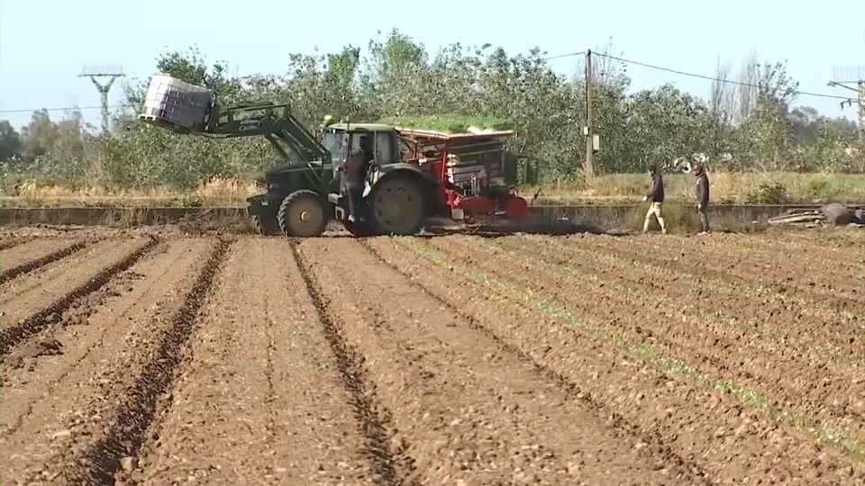 Campaña de riego: El Canal de Orellana afronta un año agrícola con reservas garantizadas