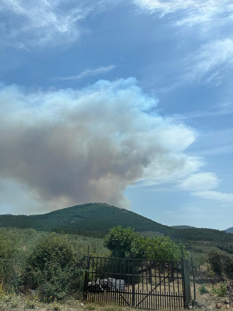 incendio santa cruz paniagua